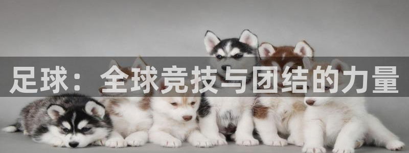 球客岛