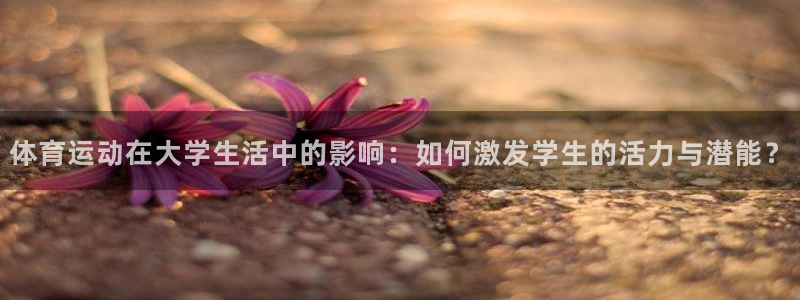 球客岛