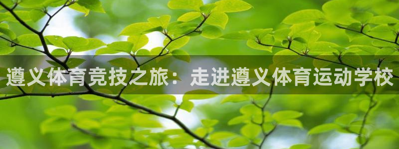 球客岛