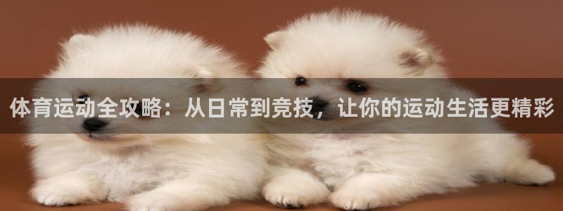 球客岛