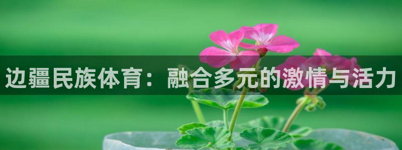 球客岛