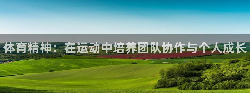 球客岛