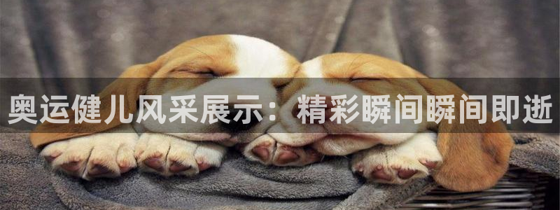 球客岛