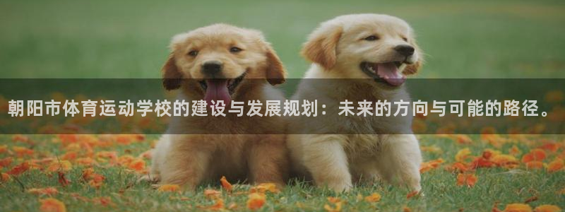 球客岛
