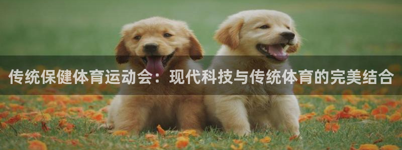 球客岛